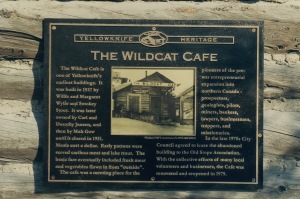 wild cat cafe info